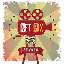 Net Pix Shorts